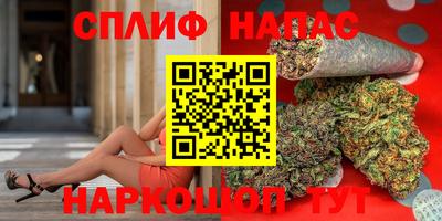 мдпв Новозыбков
